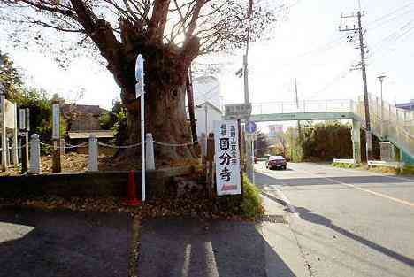 大山・江の島・鎌倉詣で