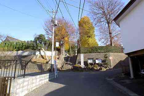 大山・江の島・鎌倉詣で