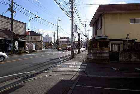 大山・江の島・鎌倉詣で