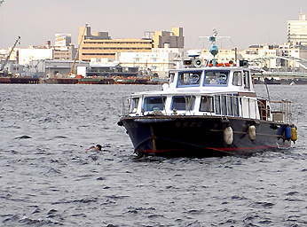 江の島マニアック