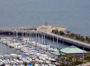 江の島マニアック 江の島の山の上からサザエ島を望む