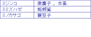ミノカサゴ、ミノカサゴ、ミジンコ