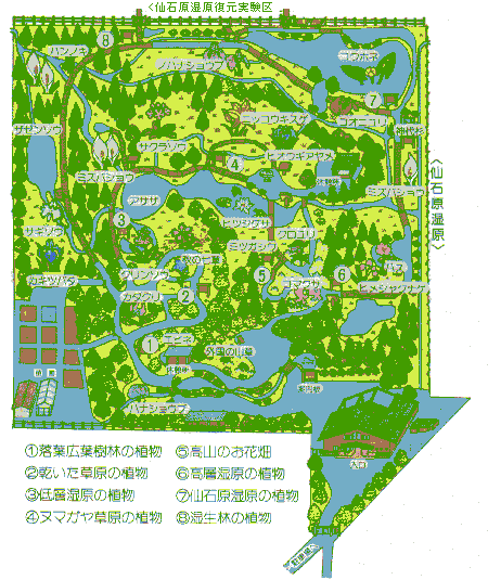 食虫植物 箱根湿生花園