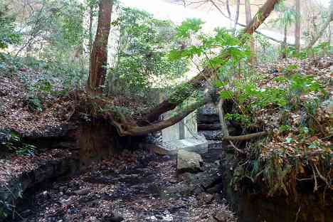 陣ヶ下渓谷