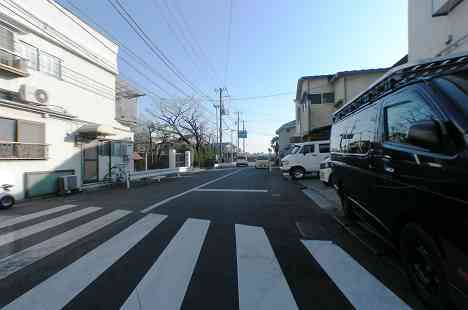 等々力渓谷を行く