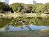 hamarikyu_0406_mini.jpg