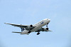 haneda_0005_mini.jpg