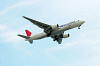 haneda_0020_mini.jpg