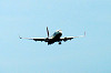 haneda_0027_mini.jpg