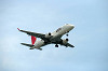 haneda_0064_mini.jpg