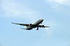 haneda_0078_mini.jpg