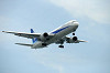 haneda_0098_mini.jpg