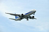 haneda_0099_mini.jpg