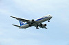 haneda_0100_mini.jpg