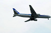 haneda_0103_mini.jpg