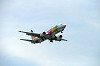 haneda_0117_mini.jpg