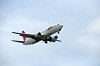 haneda_0136_mini.jpg