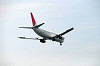 haneda_0144_mini.jpg