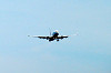 haneda_0148_mini.jpg