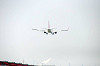 haneda_0200_mini.jpg