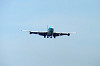 haneda_0204_mini.jpg