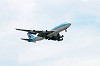 haneda_0214_mini.jpg