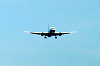 haneda_0230_mini.jpg