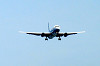 haneda_0231_mini.jpg