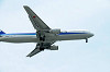 haneda_0246_mini.jpg