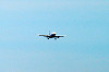 haneda_0254_mini.jpg