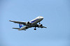 haneda_0261_mini.jpg