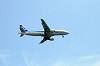 haneda_0264_mini.jpg