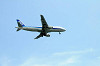 haneda_0265_mini.jpg