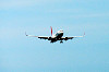 haneda_0273_mini.jpg