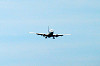 haneda_0311_mini.jpg