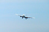 haneda_0338_mini.jpg