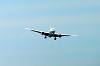 haneda_0339_mini.jpg