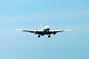 haneda_0340_mini.jpg