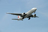 haneda_0347_mini.jpg