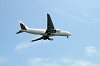 haneda_0352_mini.jpg