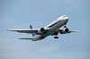 haneda_0398_mini.jpg