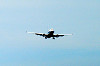 haneda_0415_mini.jpg