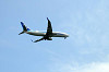 haneda_0429_mini.jpg