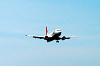 haneda_0441_mini.jpg