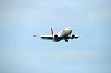 haneda_0444_mini.jpg