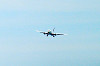 haneda_0462_mini.jpg