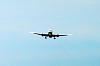 haneda_0463_mini.jpg