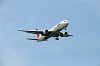 haneda_0471_mini.jpg