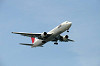 haneda_0472_mini.jpg