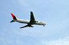 haneda_0477_mini.jpg